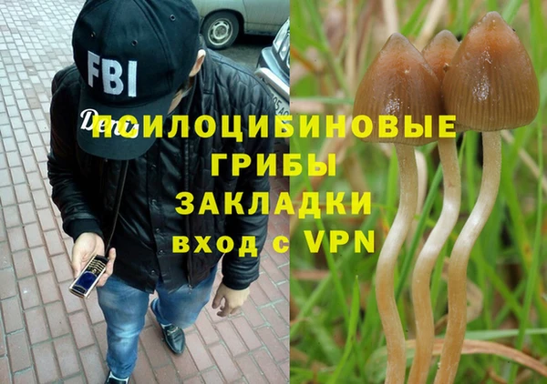 бутират Ельня